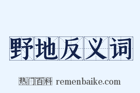 野地反义词是什么意思的图片